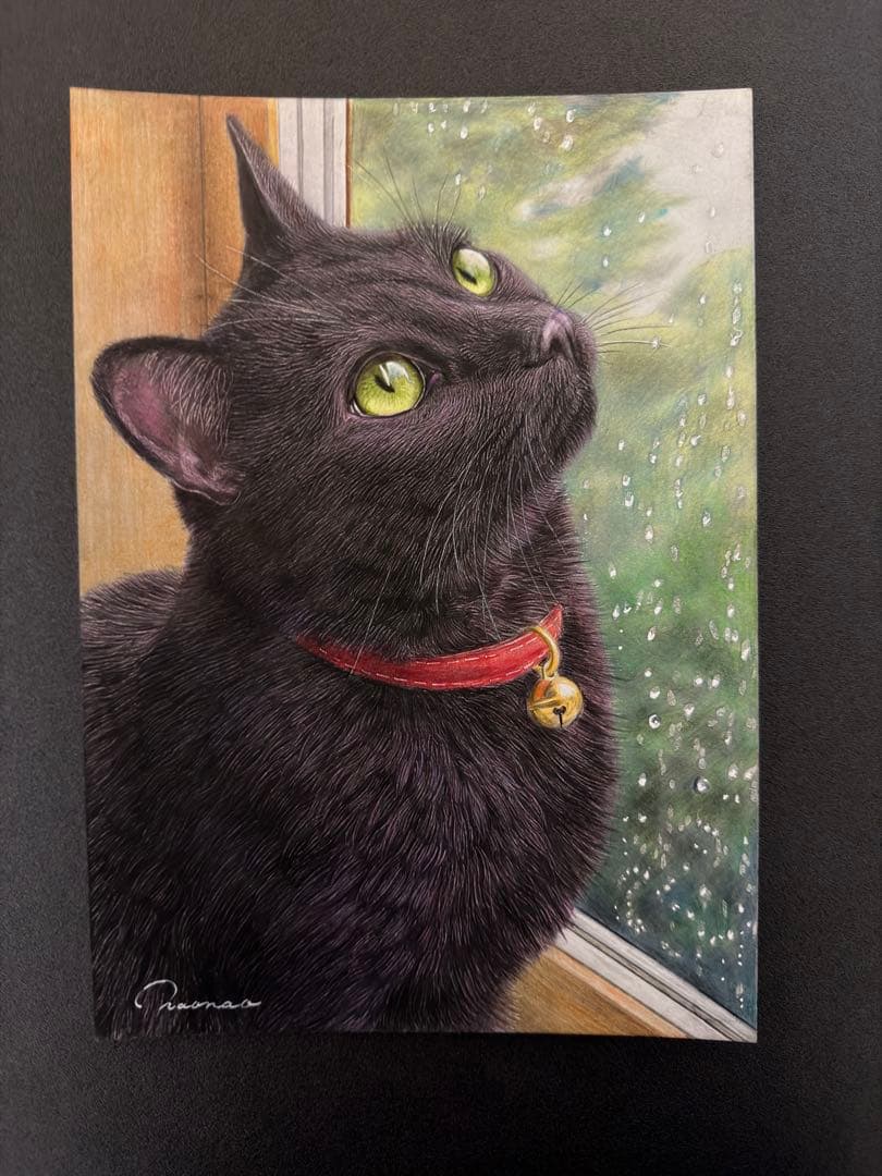 色鉛筆画.A4. 雨音を見つめる黒猫