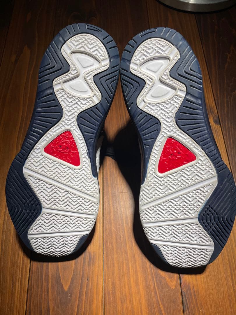 値下げ　ナイキ レブロン 8 USA カラーNIKE LEBRON 8 US10