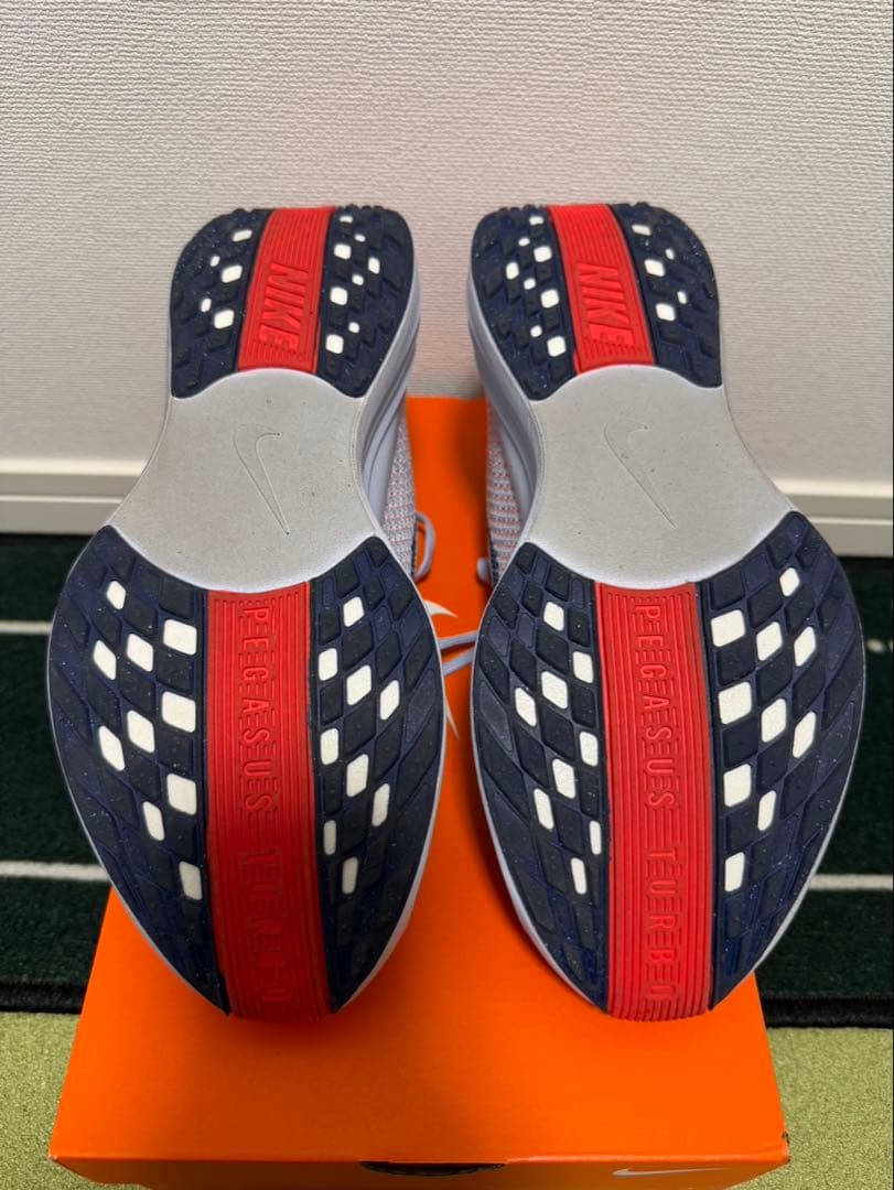 NIKE ペガサスプラス　26.5センチ