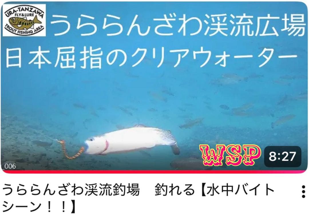 WSP ワスプ 形状記憶 巻き直し不要 エリアトラウト みえオーダー品