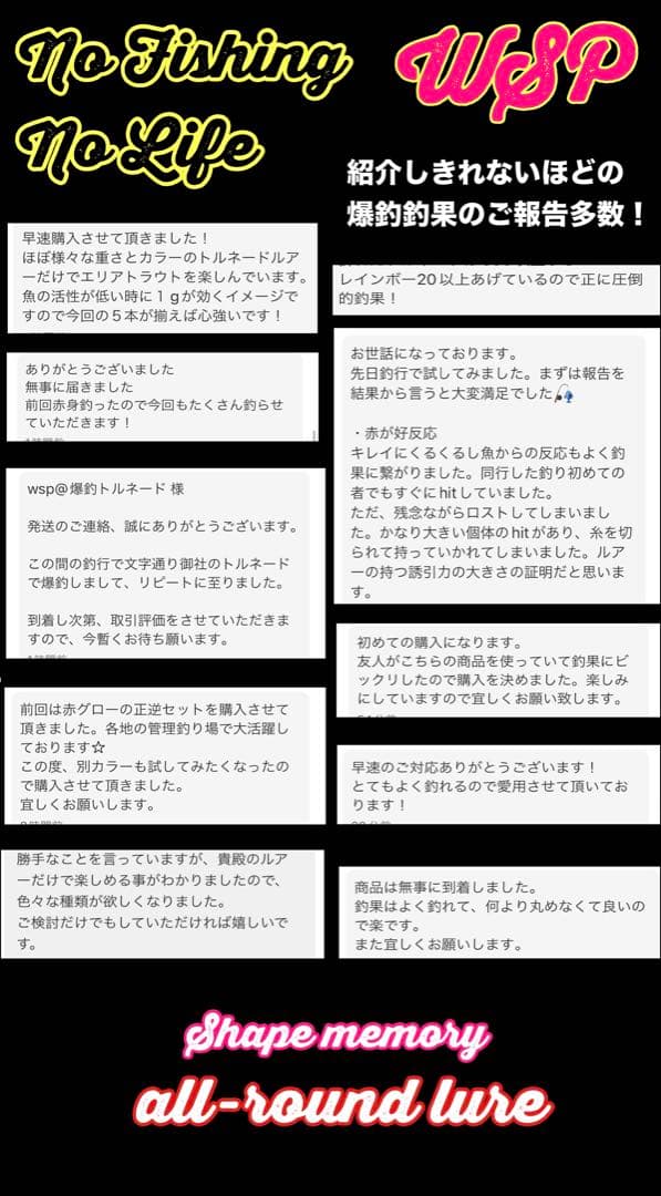 WSP ワスプ 形状記憶 巻き直し不要 エリアトラウト みえオーダー品