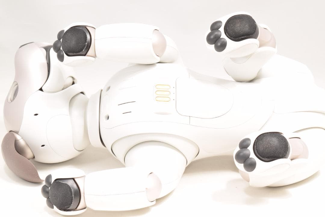 ソニー アイボ ERS-1000 アイボーン ボール AIBO 犬型 SONY