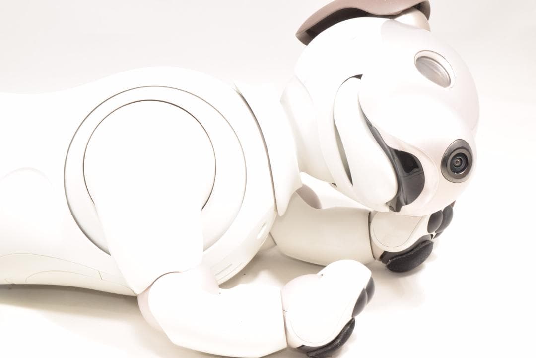 ソニー アイボ ERS-1000 アイボーン ボール AIBO 犬型 SONY