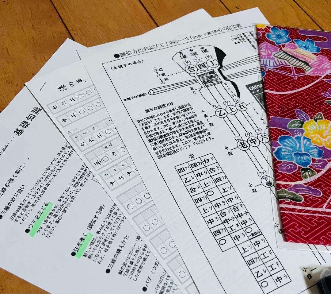 極美品⭐︎沖縄三線 人工革 入門セット　ソフトケース付 付属品 多数つきます