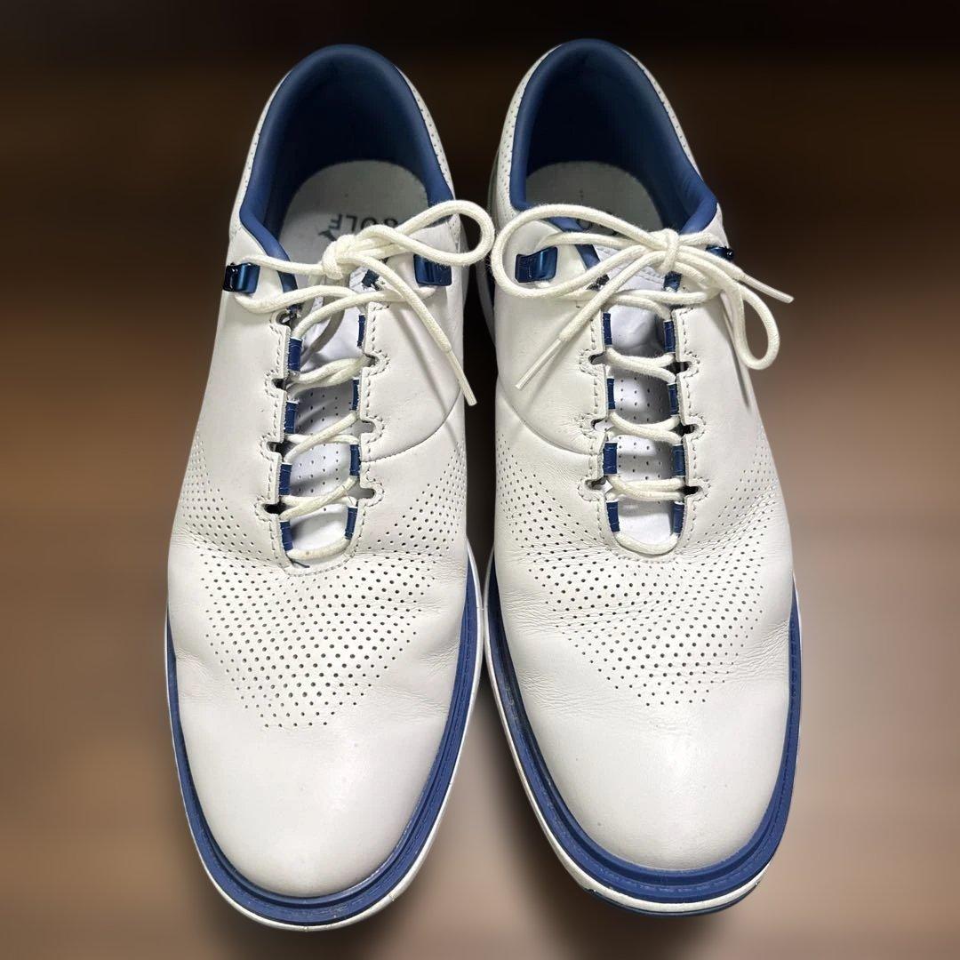シューズ(男性用) NIKE Jordan ADG 4 28.5cm