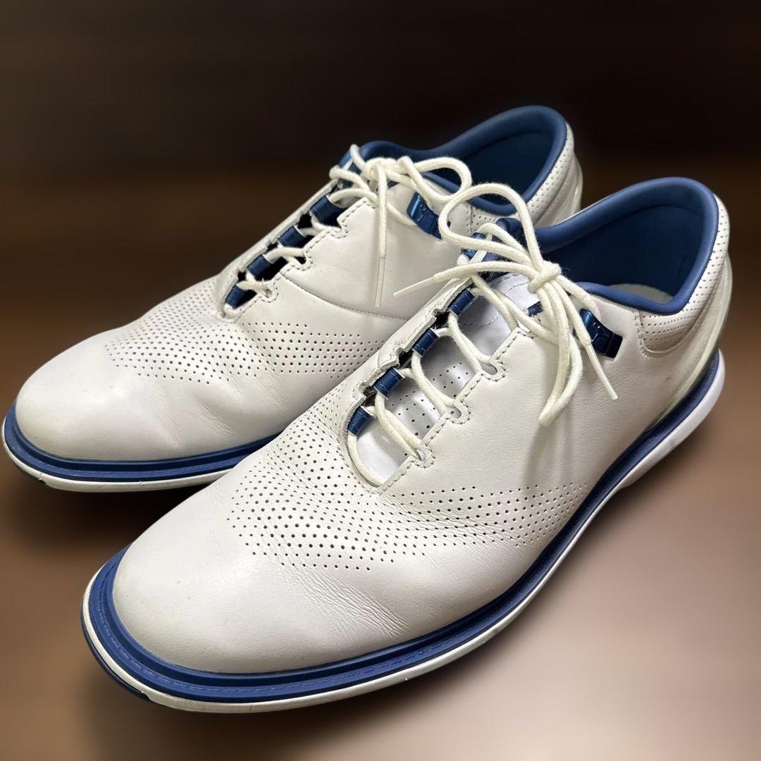 シューズ(男性用) NIKE Jordan ADG 4 28.5cm