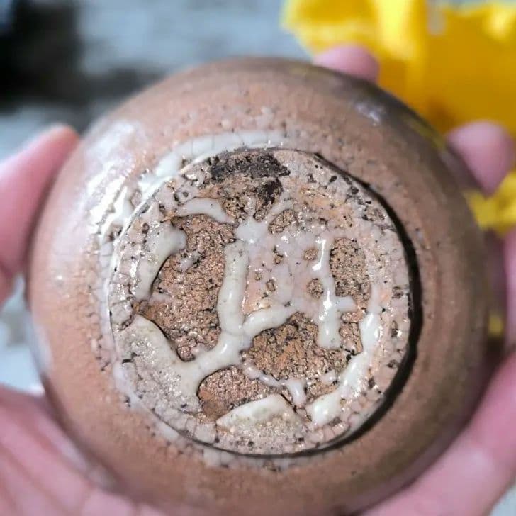 「新品」小林東五粉引杯ぐい呑酒器共箱、茶色 陶器 小皿 木箱付き「真作保証」