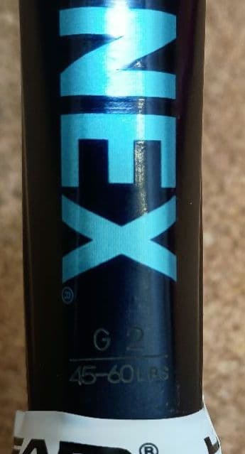YONEX EZONE100 G2（2022モデル）ケース付き