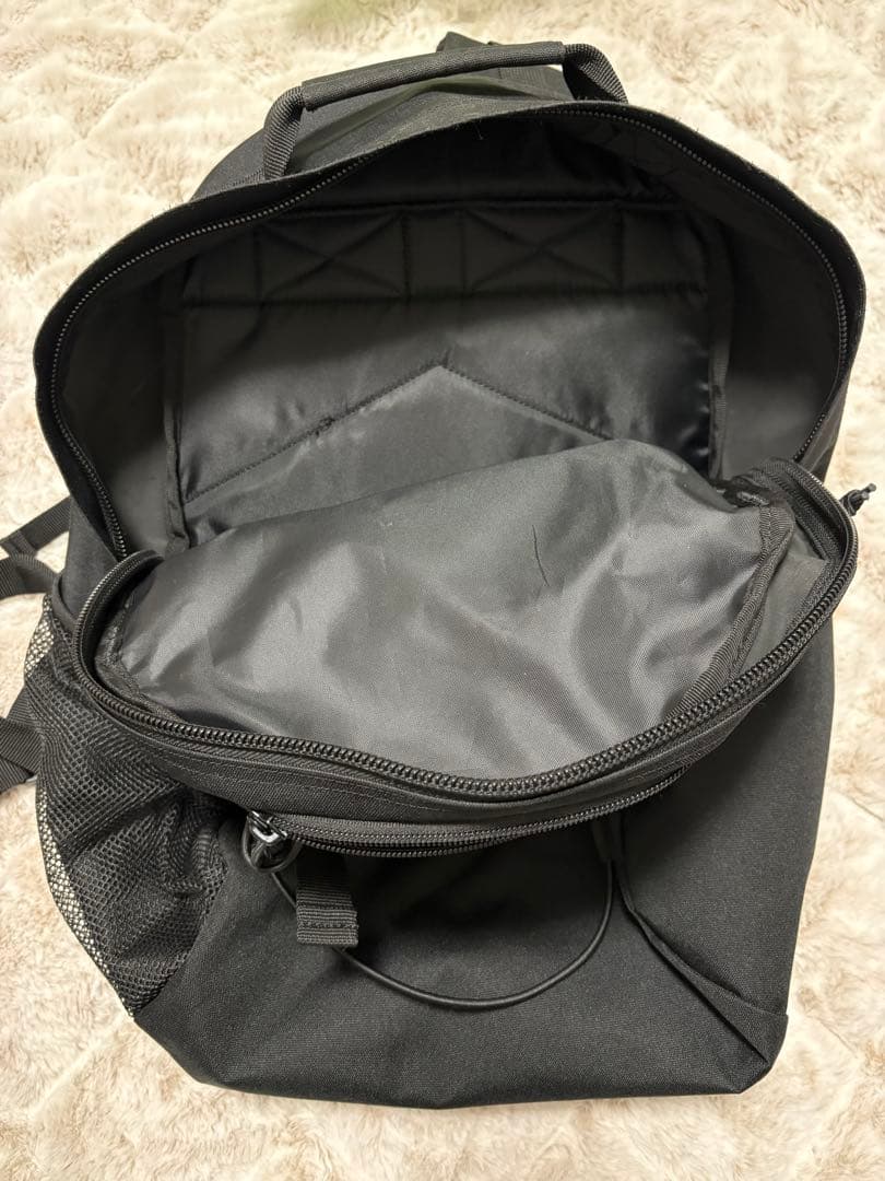 Carhartt リュック KICKFLIP BACKPACK 24.8L 美品