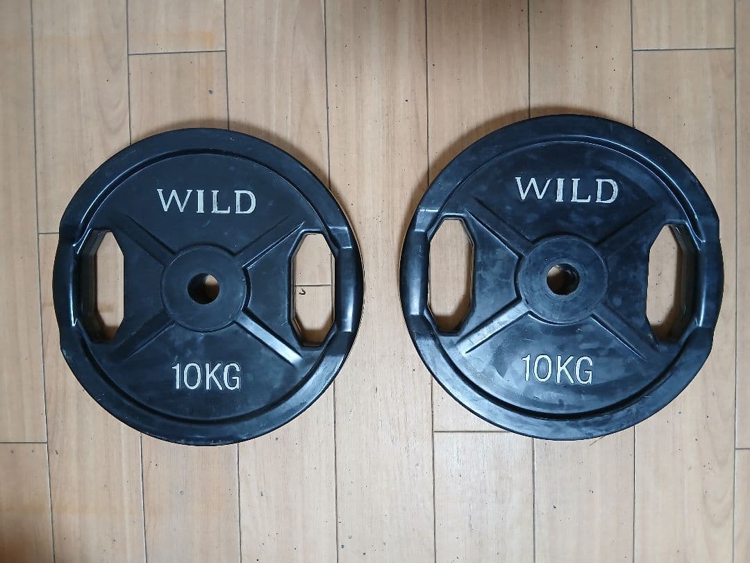 WILD FIT プレート10kg x 2枚 計20kg