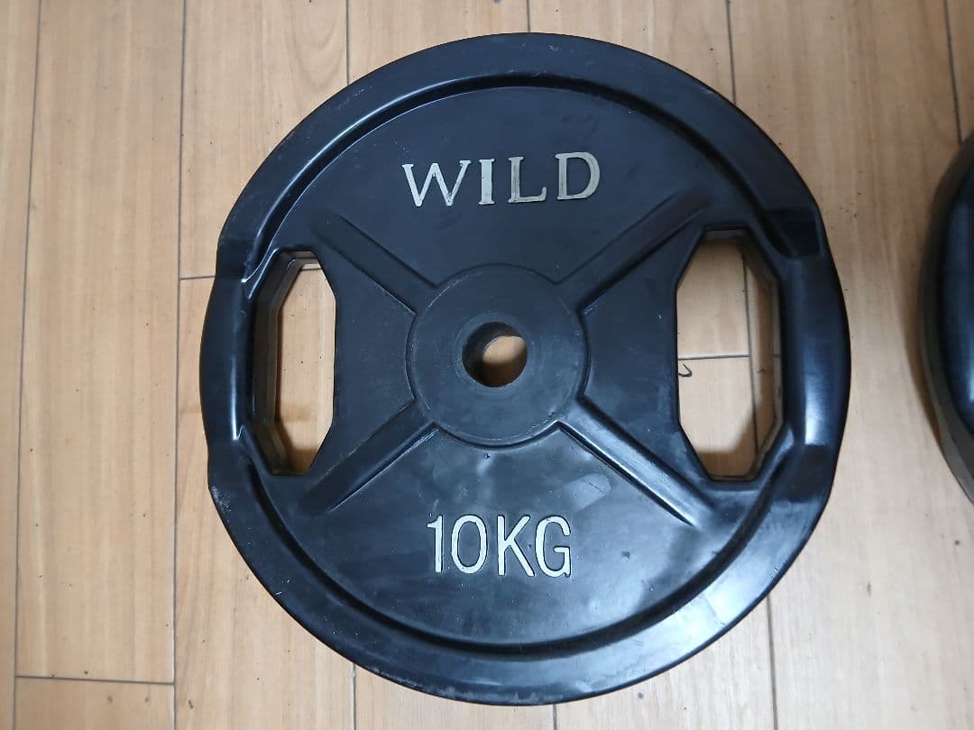 WILD FIT プレート10kg x 2枚 計20kg