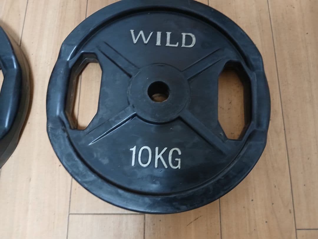 WILD FIT プレート10kg x 2枚 計20kg