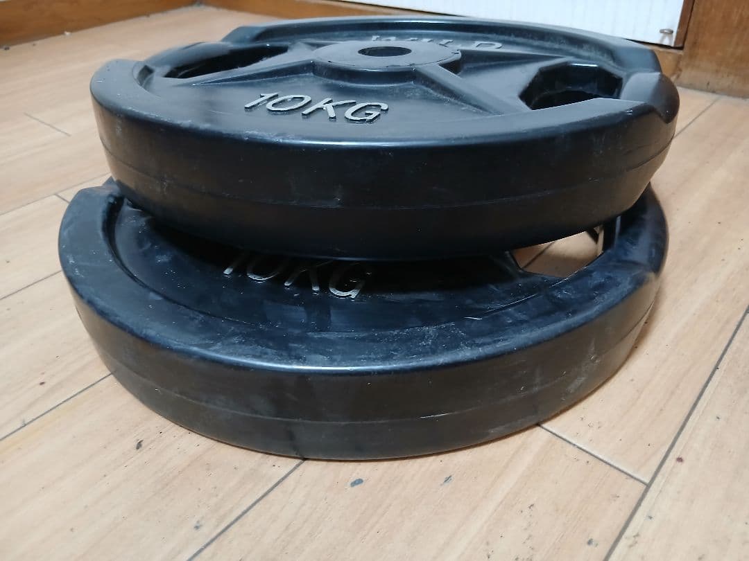 WILD FIT プレート10kg x 2枚 計20kg