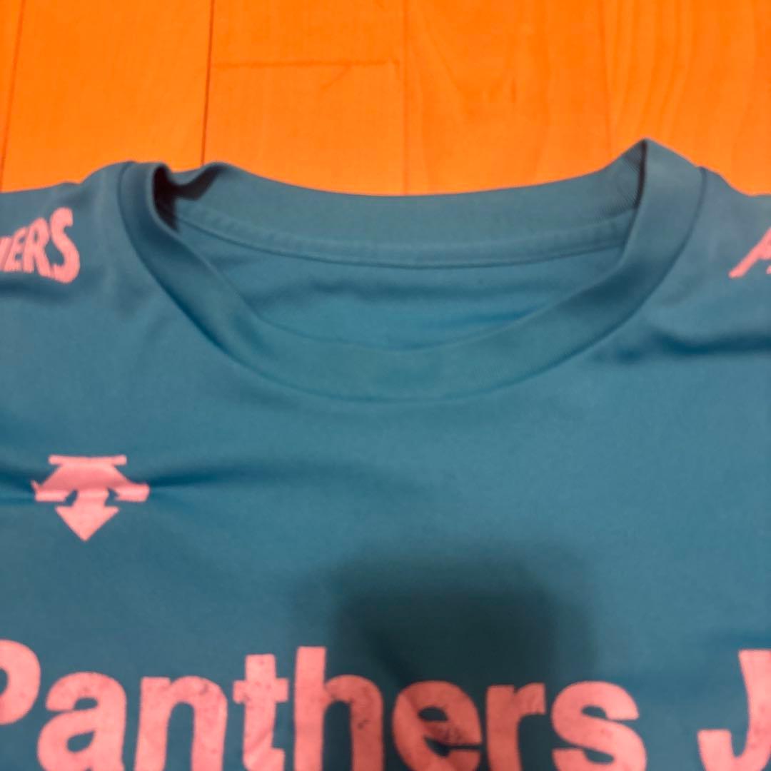 元Panthers Jr. 現　ブルテオン バレーボールTシャツ　 非売品激レア