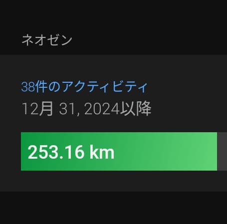 【値下げ中】ミズノ ネオゼン 26.0cm（2E）走行253km