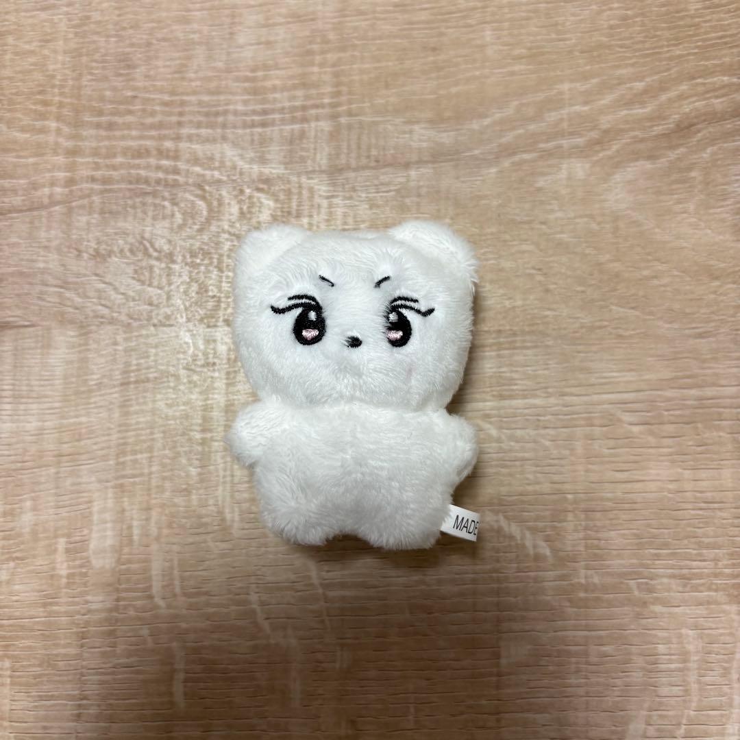 ENHYPEN ジョンウォン マスター ぬいぐるみ ヤンコミ 7cm 10cm