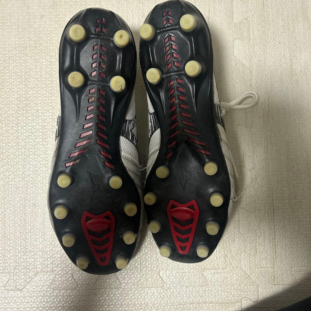 Mizuno モレリアneo4β
