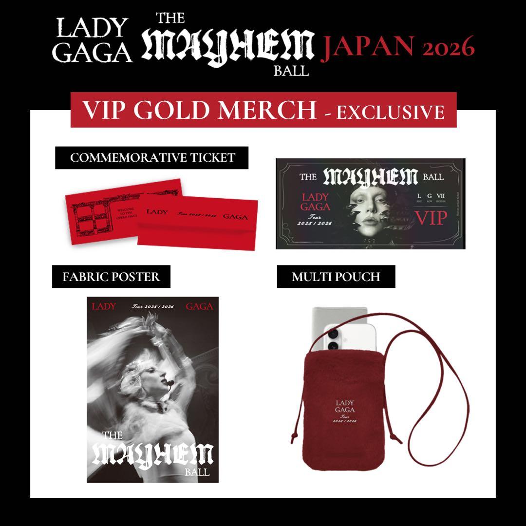 【おまけ付】 Lady Gaga VIP GOLD 特定グッズ