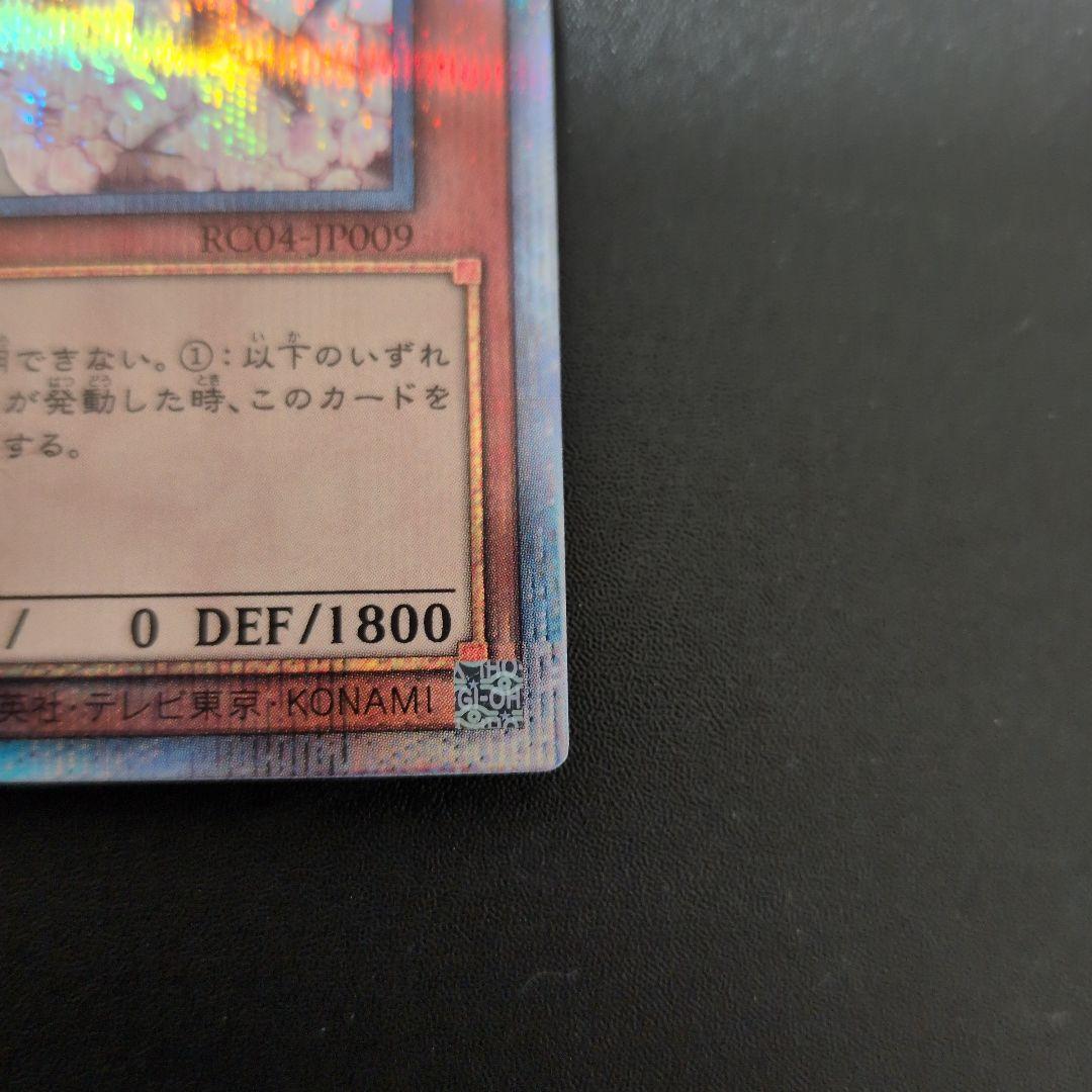 遊戯王OCG　灰流うらら　25th　クオシク　日版①