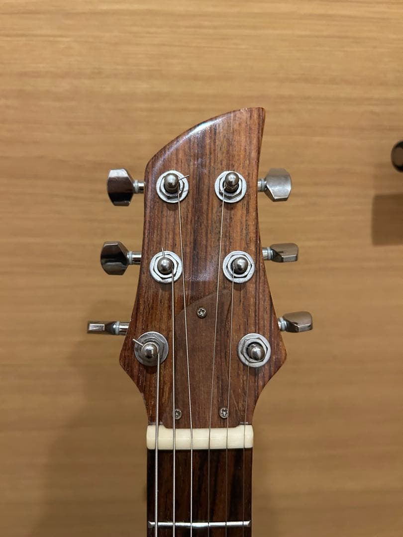 Ampeg アンペグ　Lucite Guitar ルーサイドギター　コピーモデル