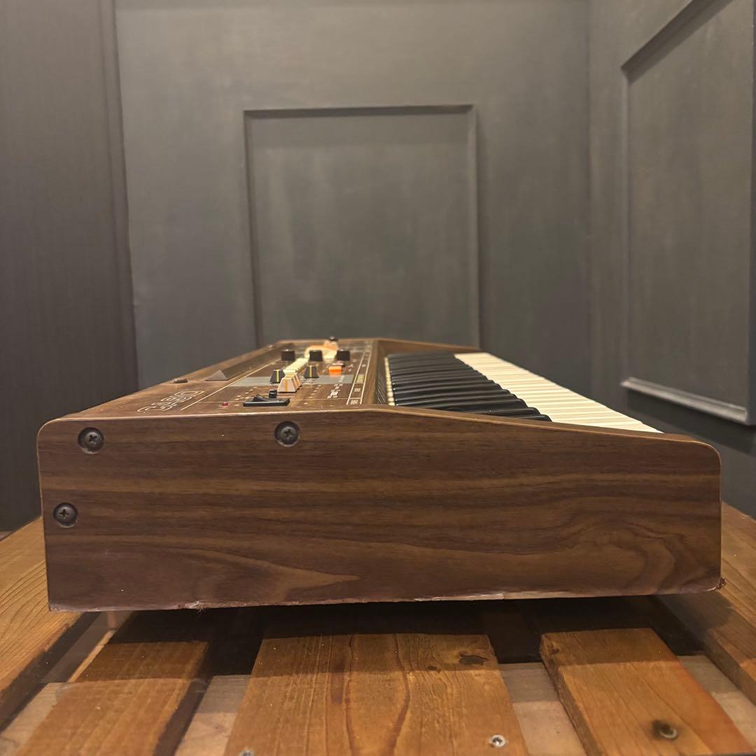 希少 CASIO カシオトーン Casiotone CT-405 電子キーボード
