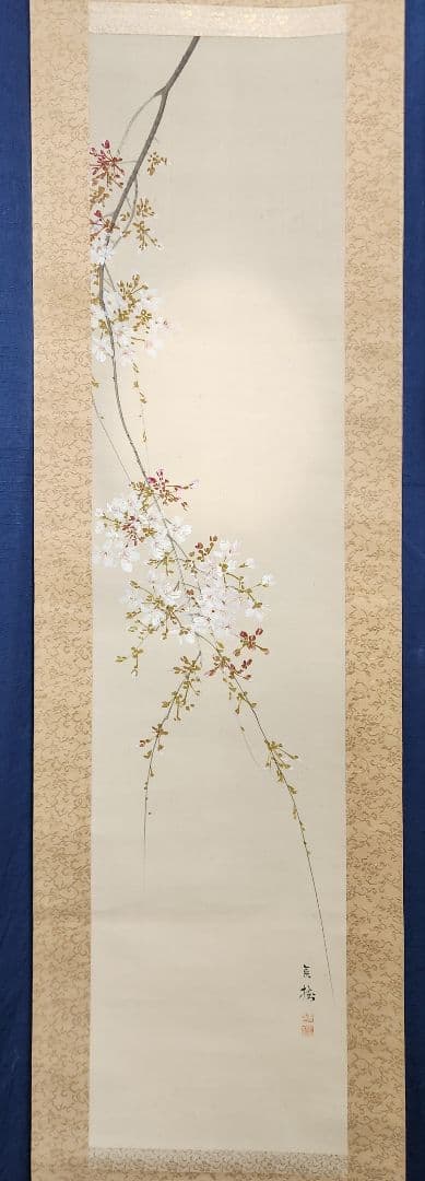 【朧月夜桜図】今井景樹 2702 おぼろ月 さくら 共箱 肉筆 掛け軸