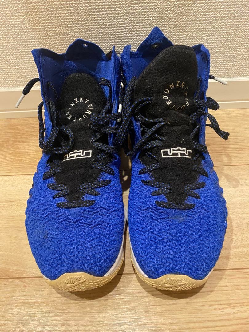 【28.5cm】LeBron 17 More Than An Athlete