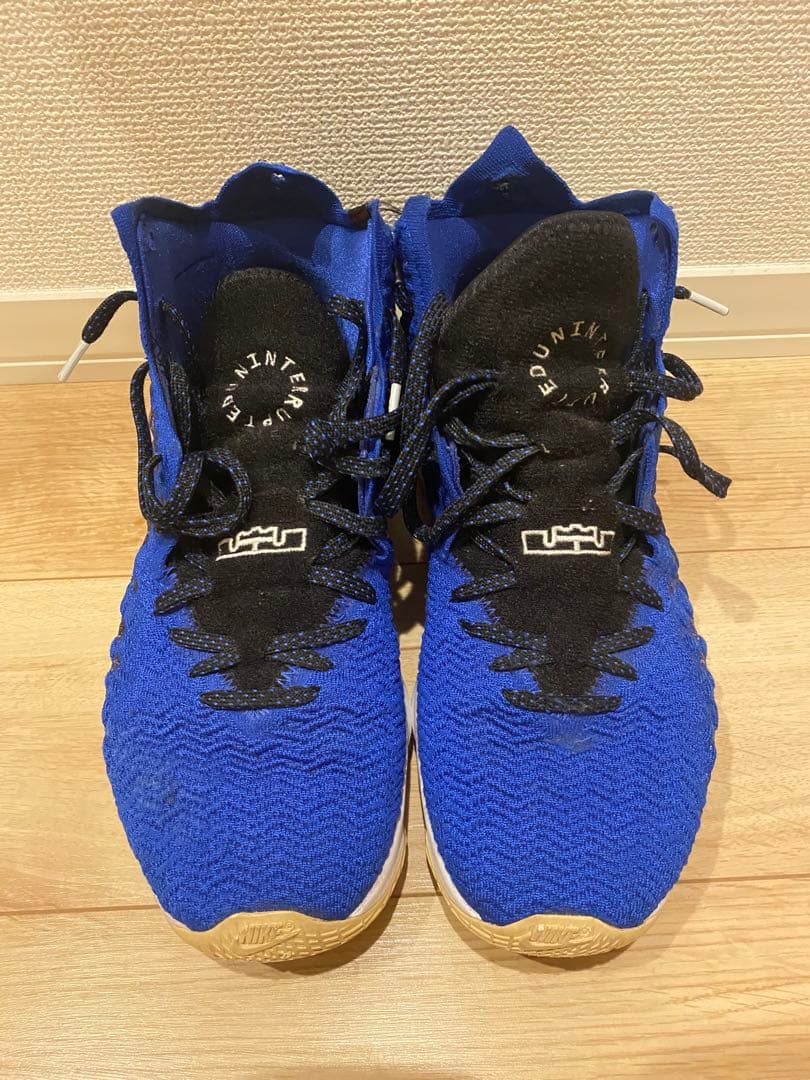 【28.5cm】LeBron 17 More Than An Athlete