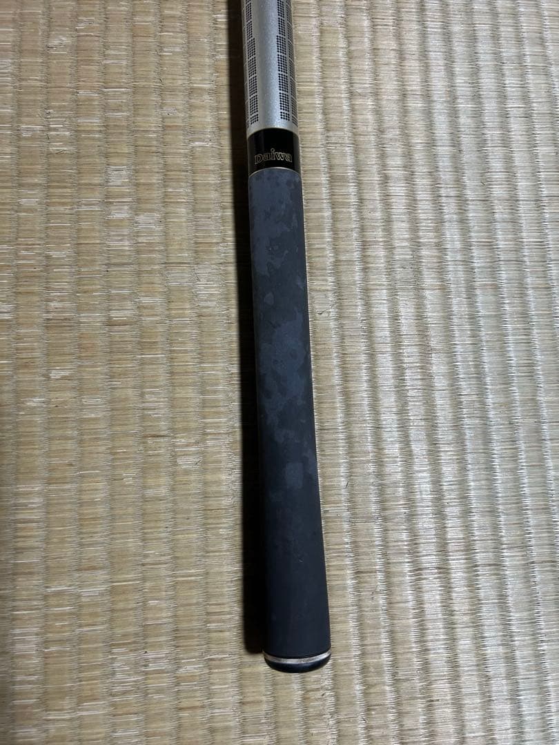 ダイワ銀影競技T•1スペシャル中硬硬100 VS銀影競技 中硬硬95 セット