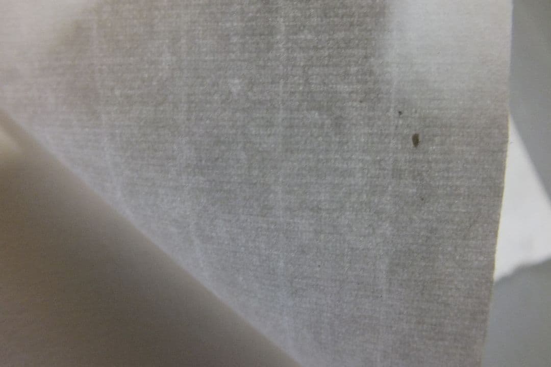 特浄　画仙紙　２反　200枚　宣紙　書道用紙