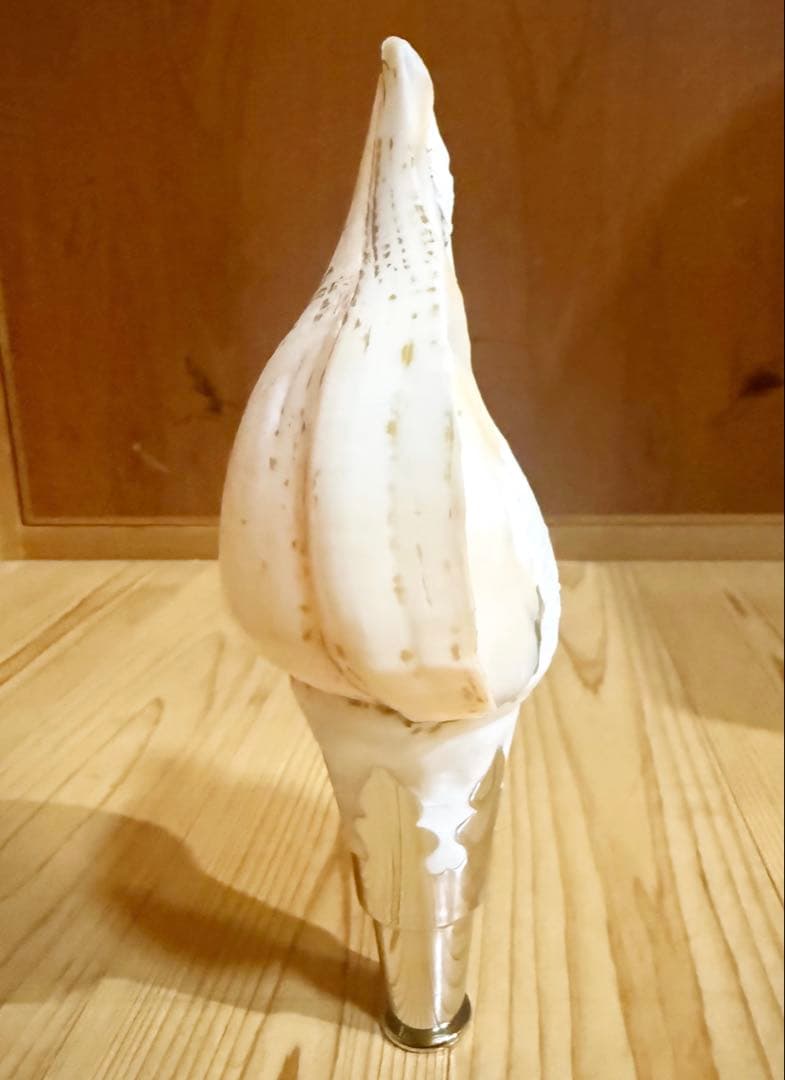 白螺貝一口（シャンク法螺貝）口金歌口付き　ほら貝　ホラガイ❣️修験道　山伏　魔除け