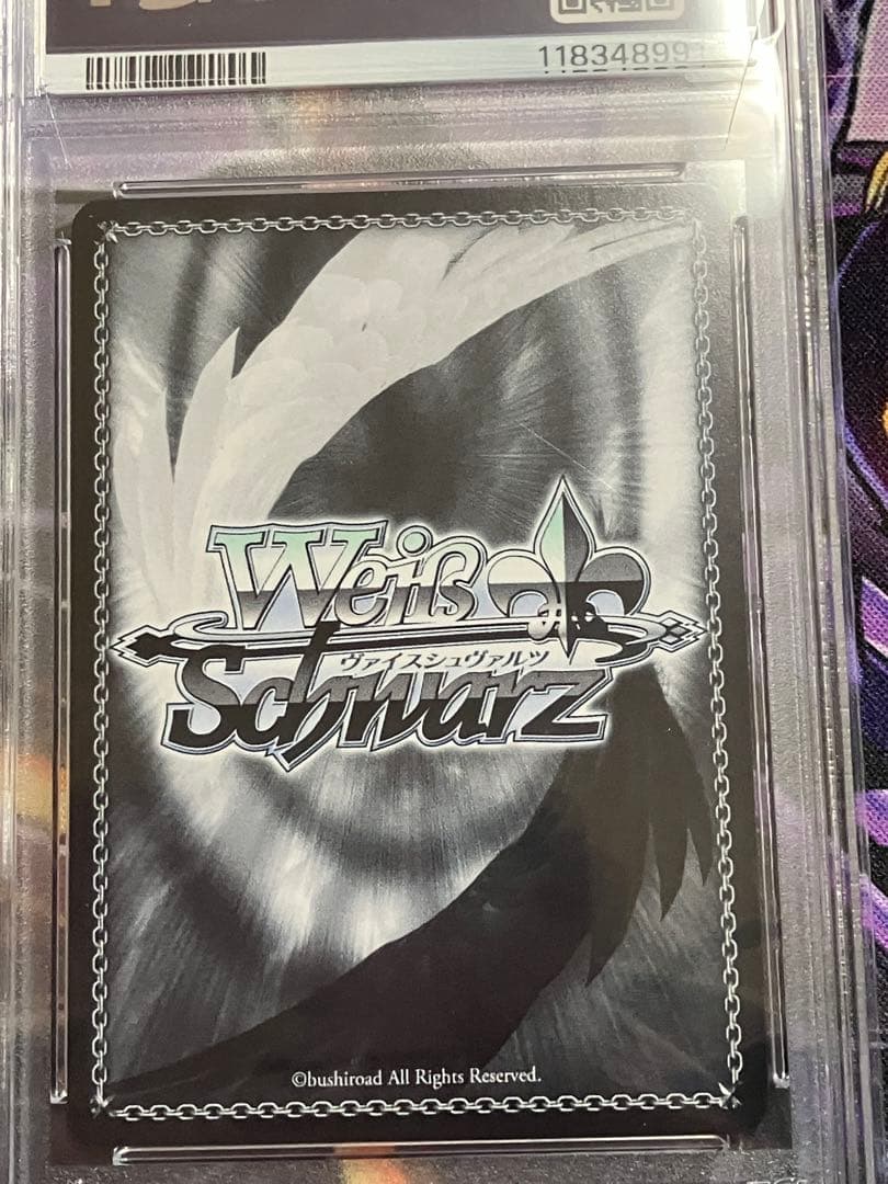 ヴァイスシュヴァルツ　ルドミラ　ウィンターオーナー　NIKKE psa10