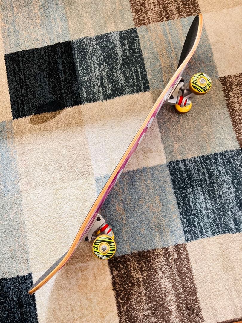 スケートボード Holiday Complete Skateboard