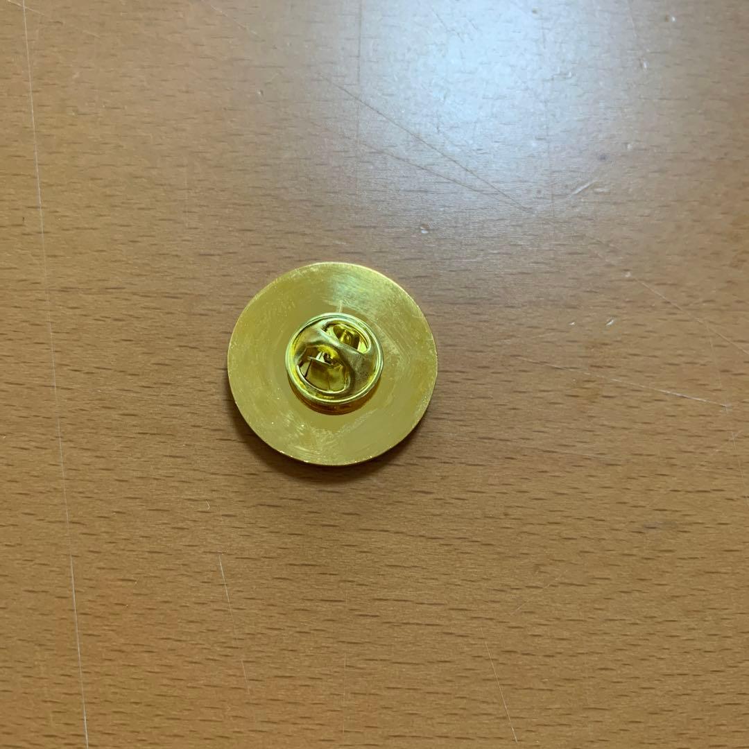 鹿島アントラーズ　ピンバッジ　2002