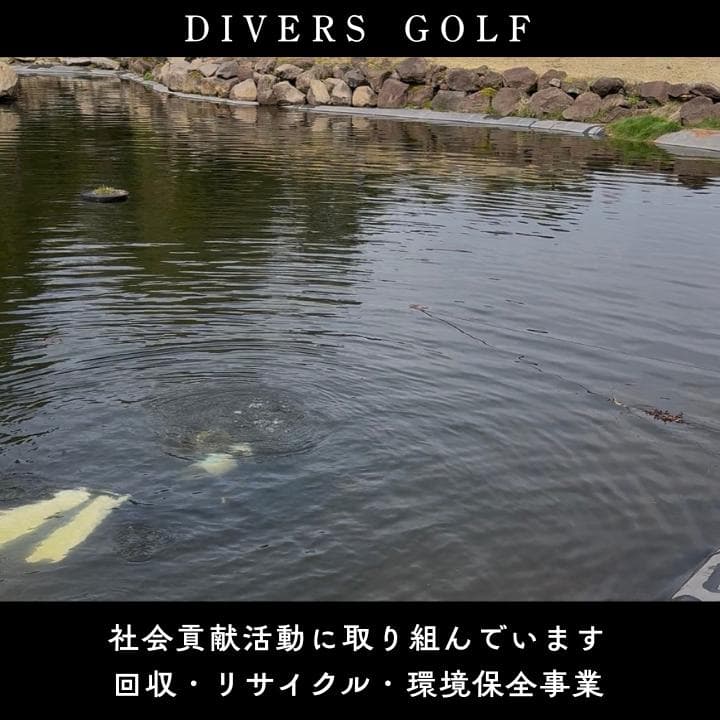 24球入 ロストボール タイトリスト Pro V1x 2023年 S【T01】