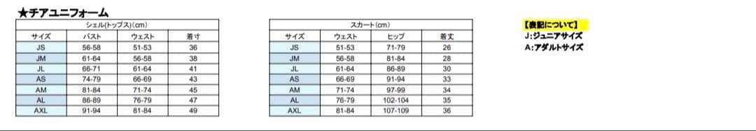 【gravis チアダンススクール　発表会ユニフォーム】