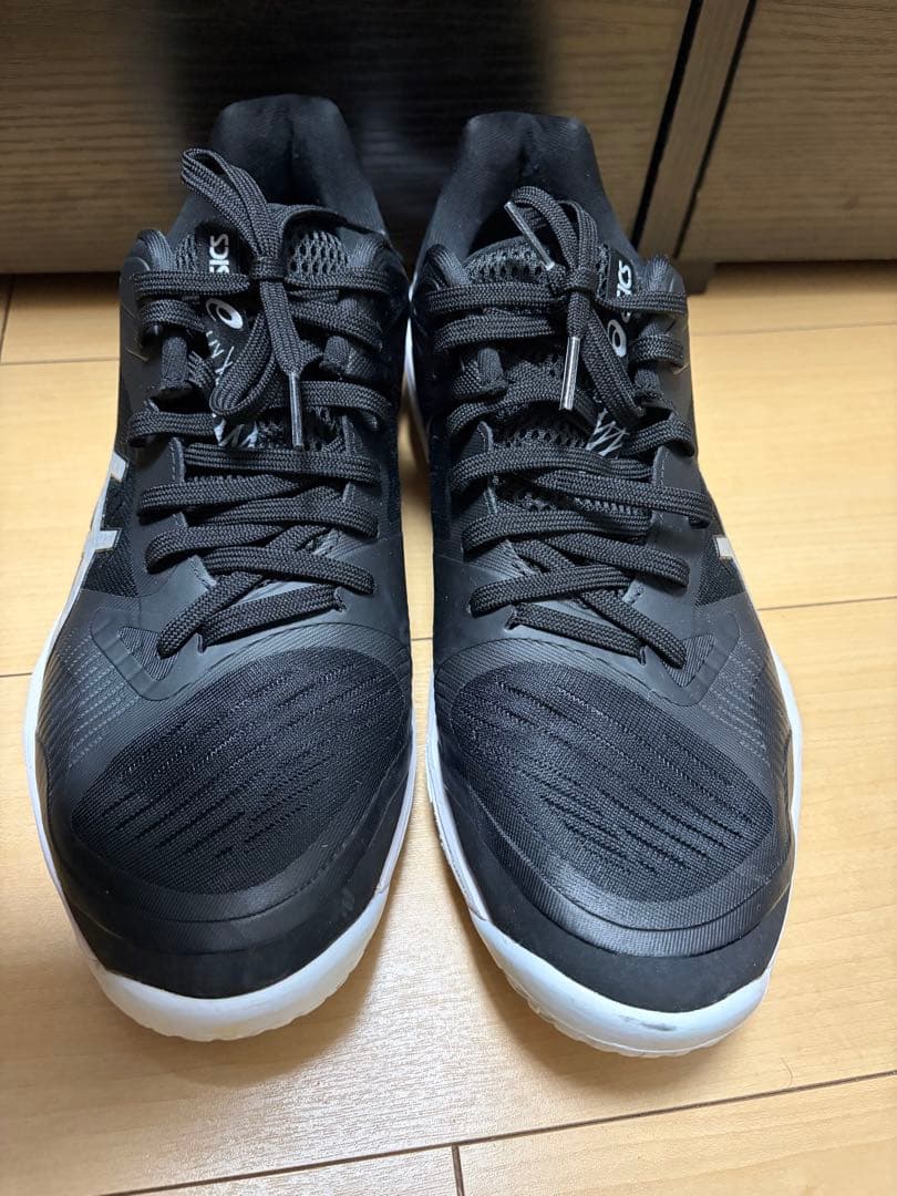 ASICS SKY ELITE FF3 27.5 ローカット (新古品)