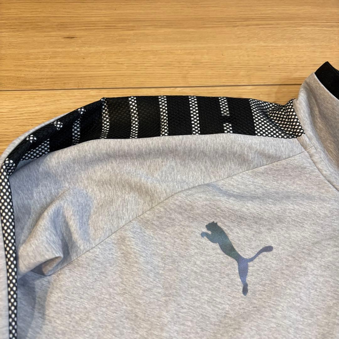新品　PUMA プーマ　トレーニングウェア　ジャージ上下セット　セットアップ
