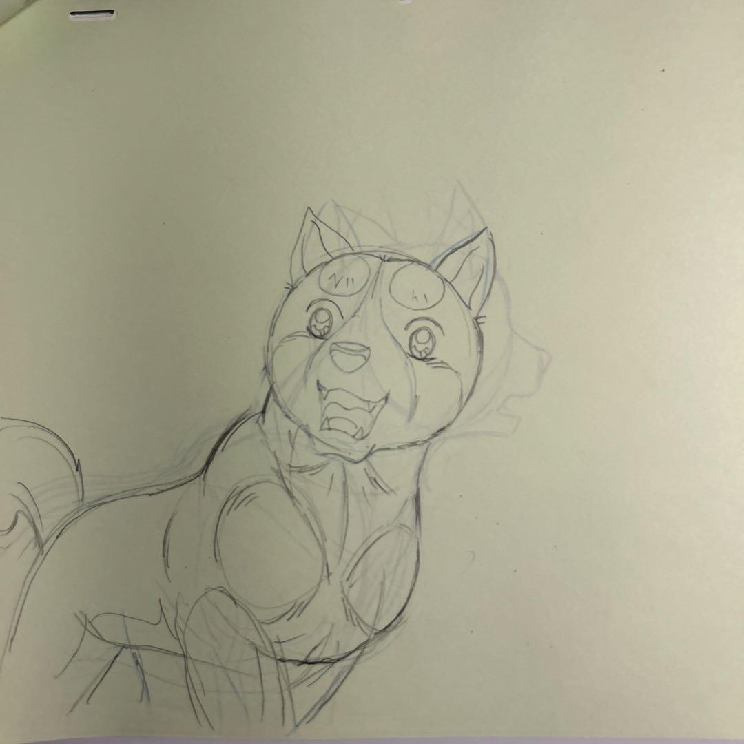 高橋よしひろ「銀牙伝説WEED」動画24枚セット