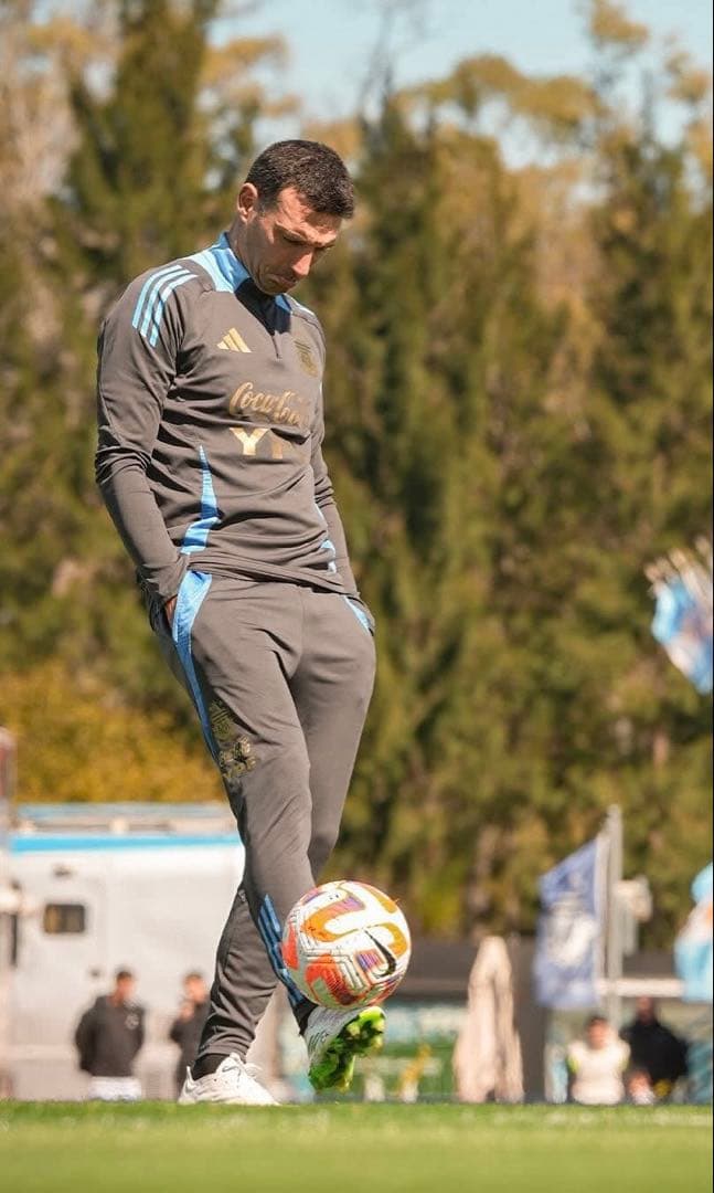 adidas アディダス アルゼンチン代表 TIRO24 トレーニングパンツ L