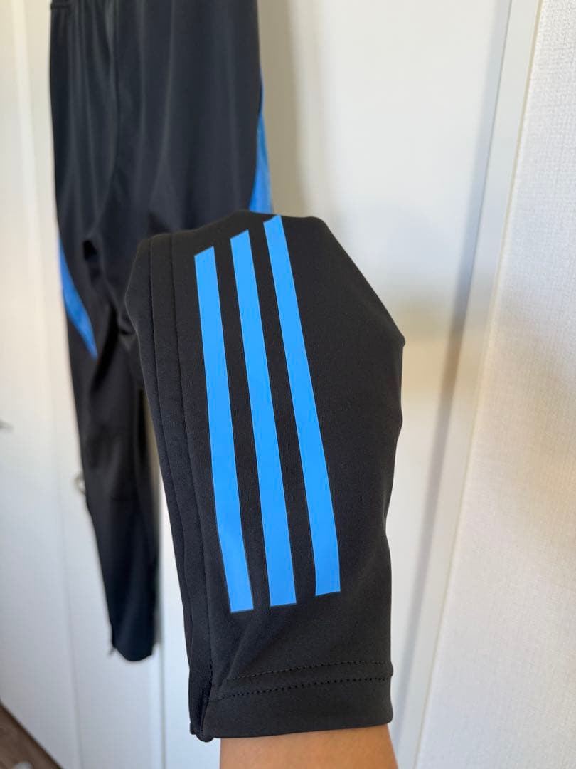 adidas アディダス アルゼンチン代表 TIRO24 トレーニングパンツ L