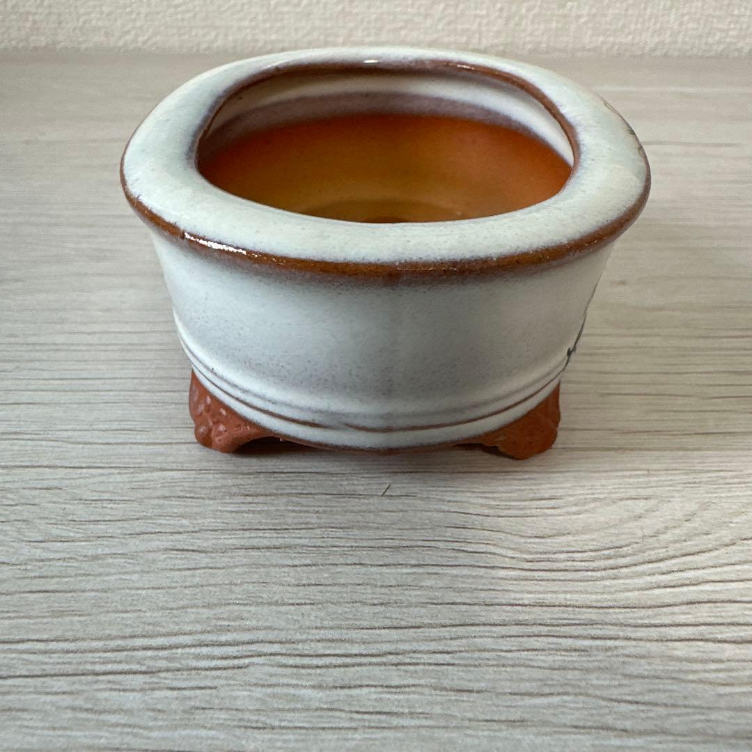 九谷陶園　盆栽鉢