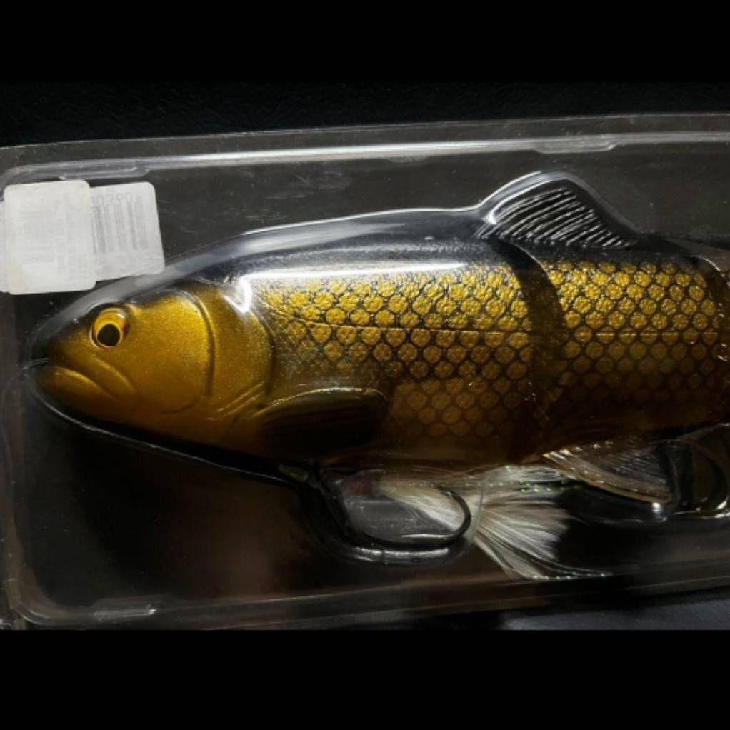 サベージギア ジャパン ラインスルー トラウト 25cm カープ 10インチ