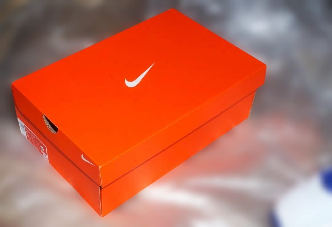 シューズ(男性用) Nike Free Golf NN W 12 (30cm) Game Roya