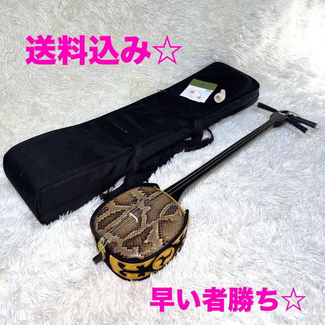 沖縄三味線　本革　ソフトケース付き