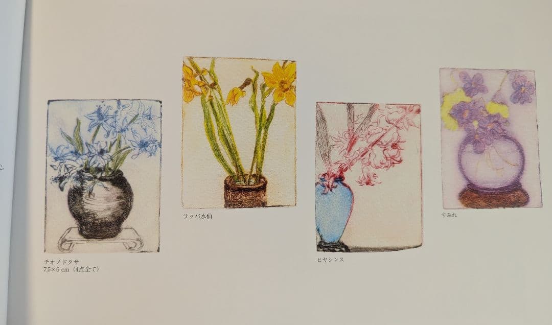Joanne Isaac ジョアン・アイザック 版画 額装 106/300