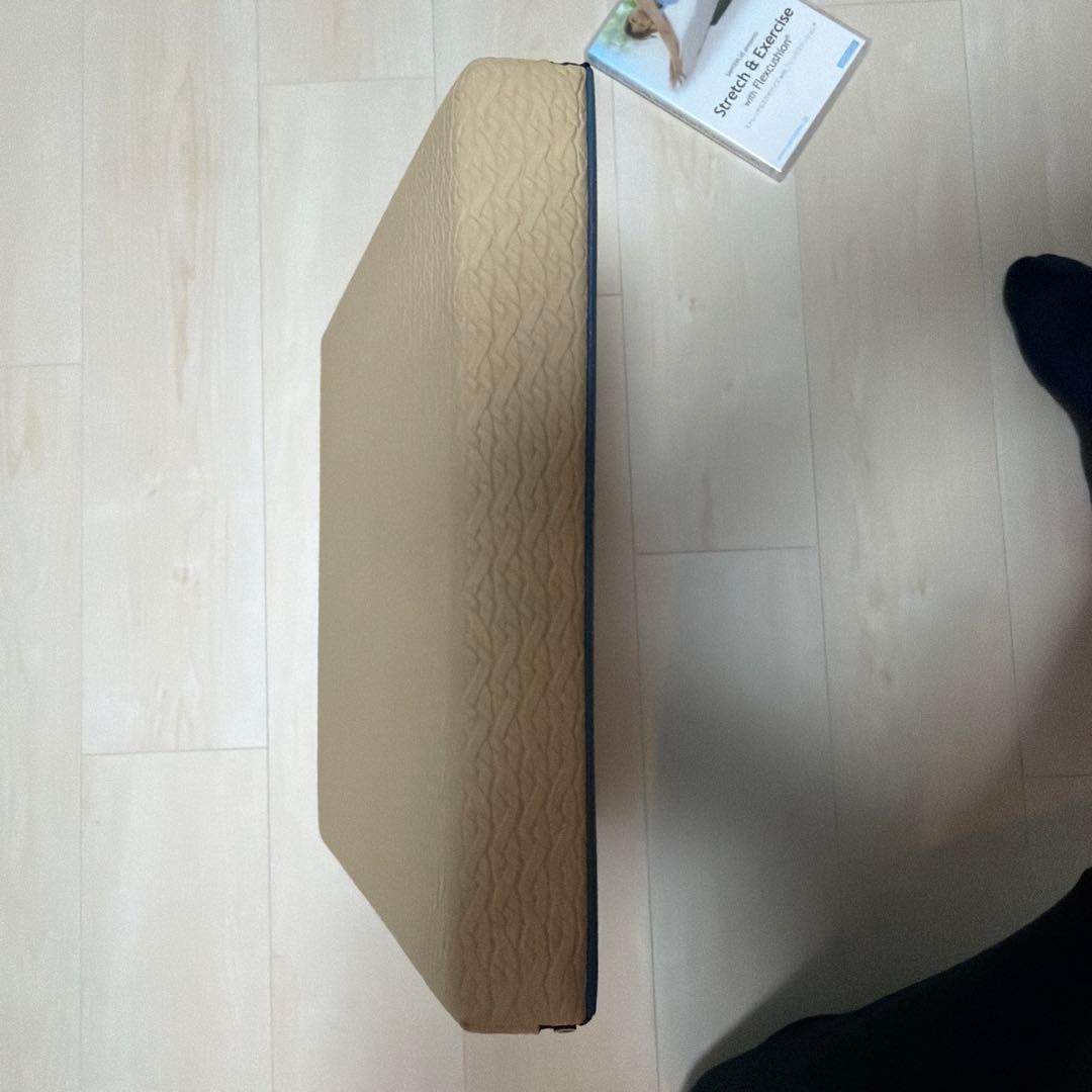 フレックスクッション　DVD付き