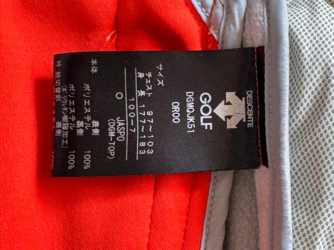 DESCENTE(デサント)ウィルドダウン ダウンベスト