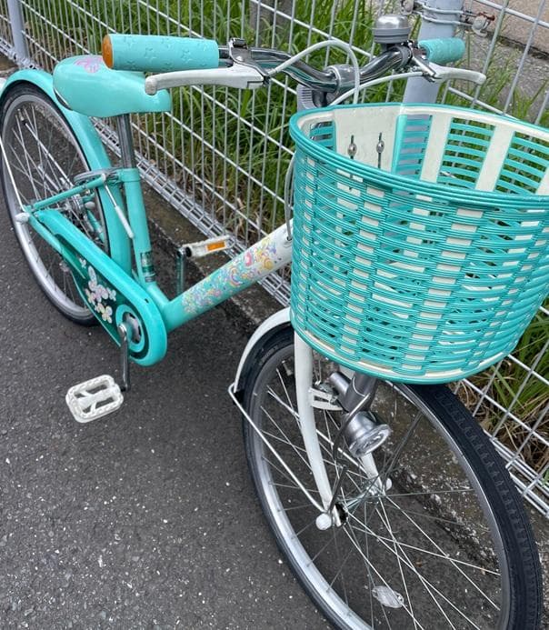 ブリヂストンECOPALエコパル22インチ-junior手渡しのみでお願いします