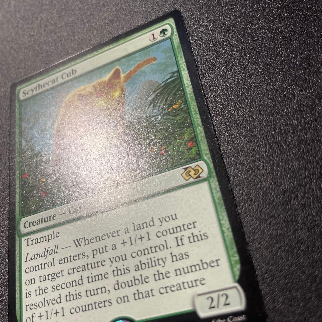 MTG 英語版 大鎌猫の仔 Scythecat Cub J25 ①